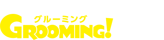 新しい車内のお手入れ
グルーミングにおまかせください!!